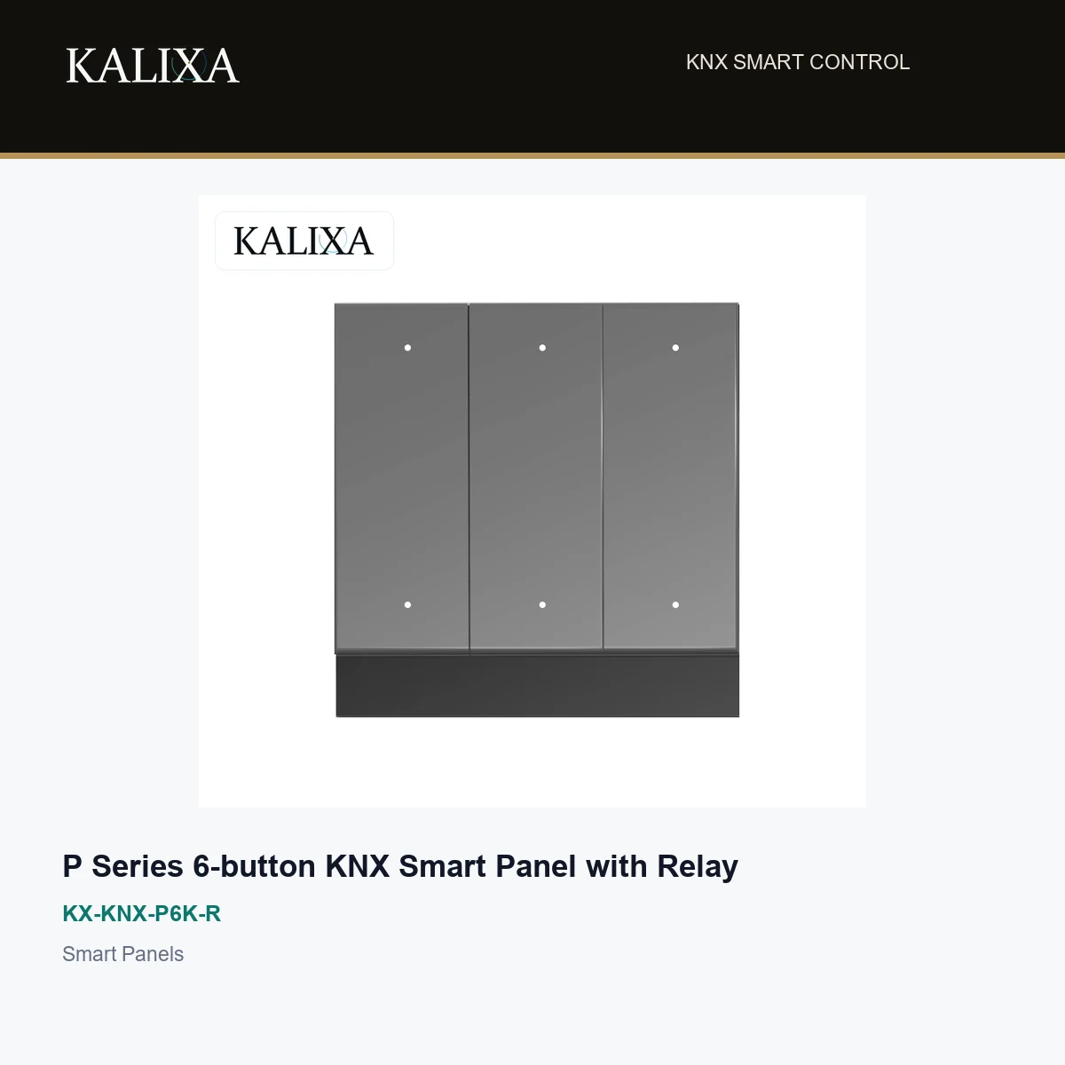 P Series 6-button KNX Smart Panel with Relay