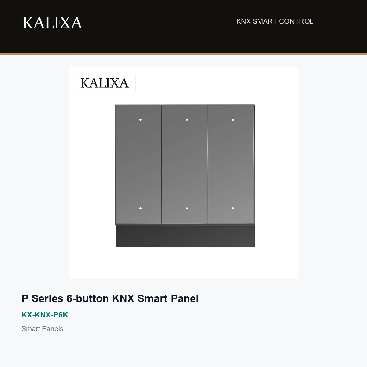P Series 6-button KNX Smart Panel